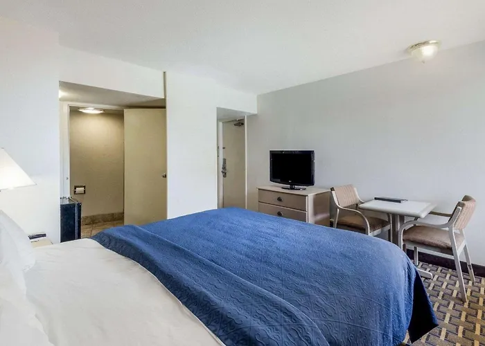 Pet Friendly hotel: Quality Inn & Suites Corpus Christi Beachside